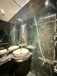 Klimt Cairnhill (D9), Apartment #500703291